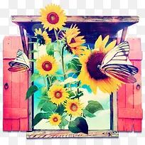 创意向日葵-空若网 创意向日葵-空若网