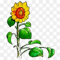 �ֻ����տ�-������