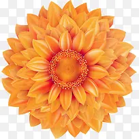 �������տ�-������