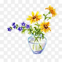 手绘葵花-空若网 手绘葵花-空若网