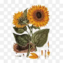 �ֻ����տ�-������