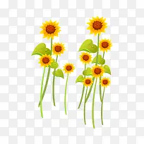 卡通手绘向日葵-空若网 卡通手绘向日葵-空若网