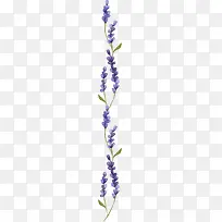 ޹�²�-������