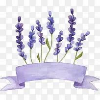 薰衣草-空若网 薰衣草-空若网
