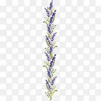 ޹�²�-������