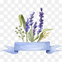 薰衣草-空若网 薰衣草-空若网