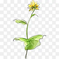 手绘向日葵创意海报-空若网 手绘向日葵创意海报-空若网