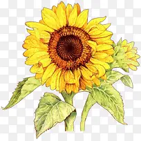 �ֻ濨ͨ���տ�-������