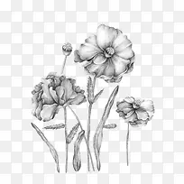 �ֻ滨��-������