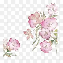 �ֻ滨��-������