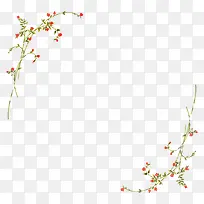 简约花朵边框-空若网 简约花朵边框-空若网