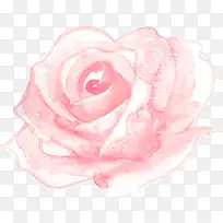 手绘花朵-空若网 手绘花朵-空若网