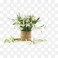 ��ͨװ���ز���԰��-������