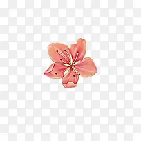 手绘花-空若网 手绘花-空若网