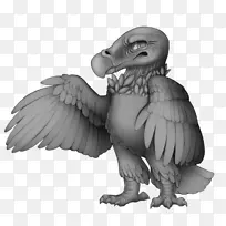 胡须秃鹫埃及秃鹫黄鼠狼猎物鸟秃鹫-空若网 胡须秃鹫埃及秃鹫黄鼠狼猎物鸟秃鹫-空若网