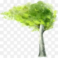 手绘风格绿树主题-空若网 手绘风格绿树主题-空若网