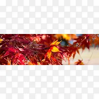 浪漫背景炫酷背景-空若网 浪漫背景炫酷背景-空若网