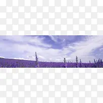 浪漫背景-空若网 浪漫背景-空若网