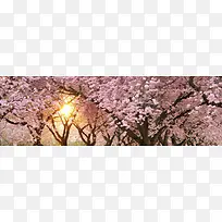 唯美背景-空若网 唯美背景-空若网