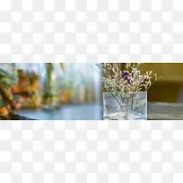 ���䱳��Ψ���������������ſᱳ���ʸ�����Ѥ���ͷ�-������