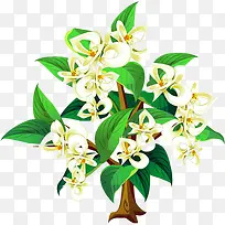 花树-空若网 花树-空若网