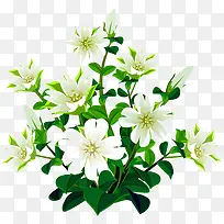 ����-������