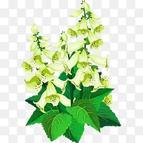 ����-������