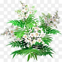 ����-������