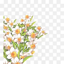 水彩白花绿叶-空若网 水彩白花绿叶-空若网