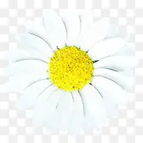 �ֻ��ɫ��������-������