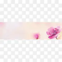 女性花卉浪漫爱情唯美-空若网 女性花卉浪漫爱情唯美-空若网