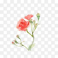 唯美水彩花卉-空若网 唯美水彩花卉-空若网