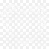 白色花卉-空若网 白色花卉-空若网