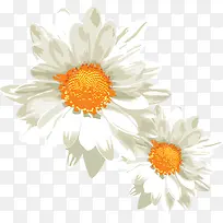 ��ɫ�ʻ�-������