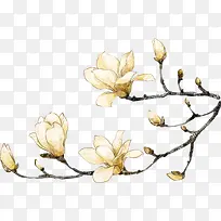 白色梨花-空若网 白色梨花-空若网