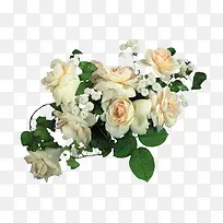 ��ɫ�ʻ��ز�-������