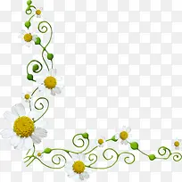 白色精简花边框-空若网 白色精简花边框-空若网