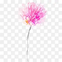 ��ɫΨ��ˮ�ʻ���-������