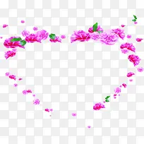 ��ɫ����ֲ�ﰮ������-������