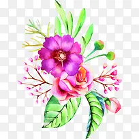 ��ɫ�ʻ�ˮ�ʻ���-������