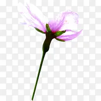 ��ɫˮ���λû���-������