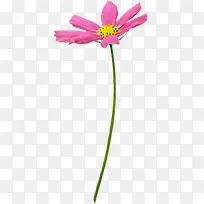 紫色清新时尚创意花朵-空若网 紫色清新时尚创意花朵-空若网