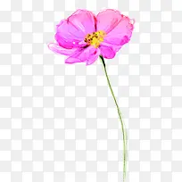 ��ɫˮ�ʻ�������-������