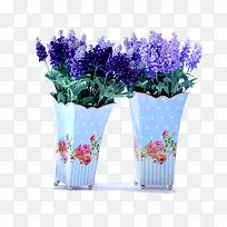 薰衣草-空若网 薰衣草-空若网