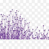 矢量手绘紫色薰衣草-空若网 矢量手绘紫色薰衣草-空若网