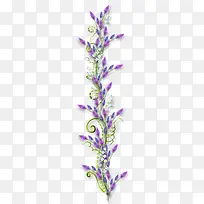 ޹�²�-������