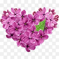 ��ɫ���䰮����Ҷ-������