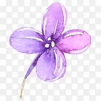 紫色手绘水彩花卉-空若网 紫色手绘水彩花卉-空若网