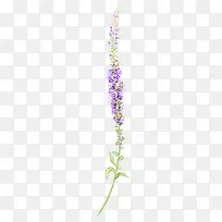 ޹�²�-������