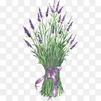 ޹�²�-������